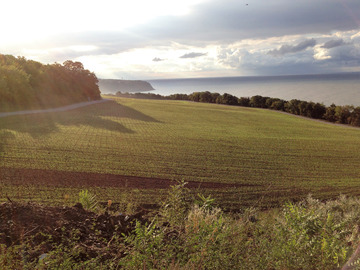 Plantations à Pshada en Russie